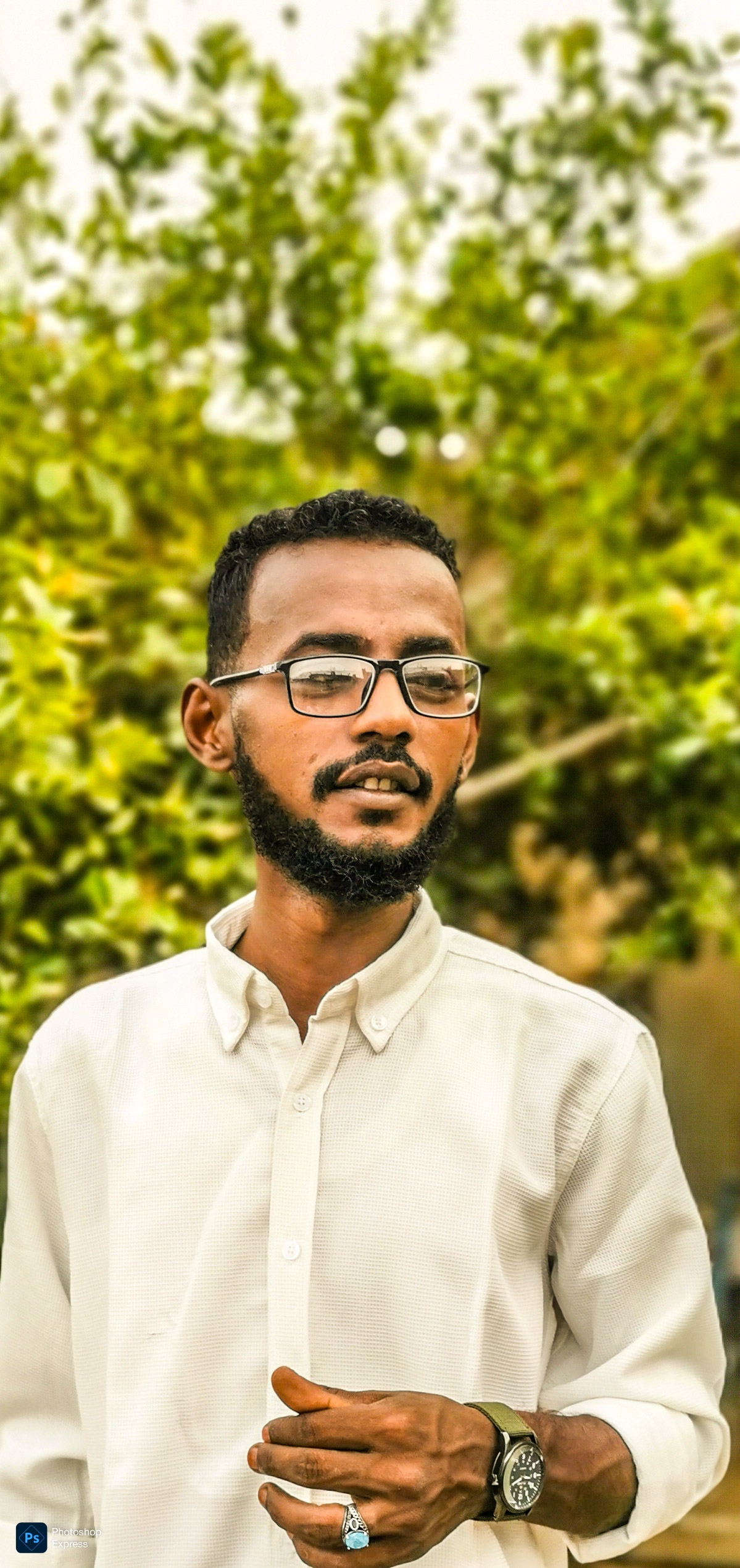 طارق عمر ابراهيم